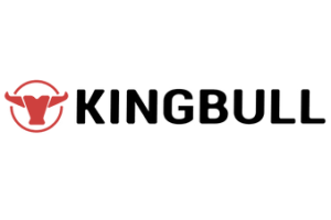 kingbull bike discount code