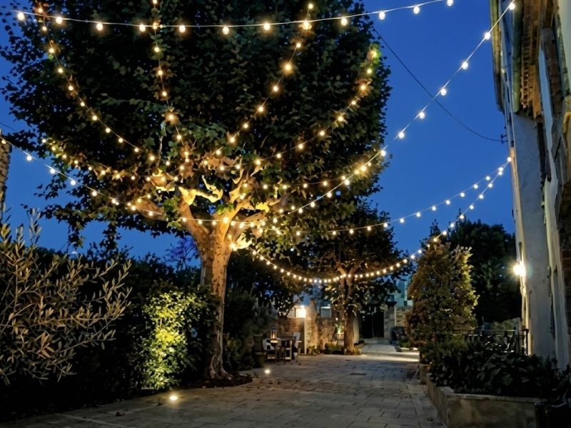 Modern Lighting Solutions 