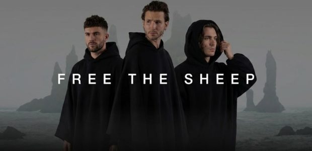 free the sheep